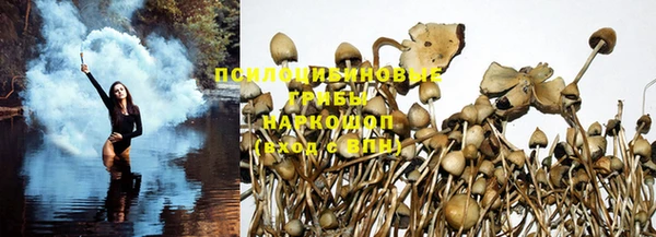 кокс Михайлов