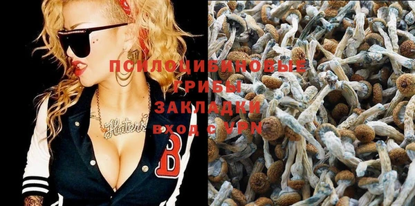 кокс Михайлов