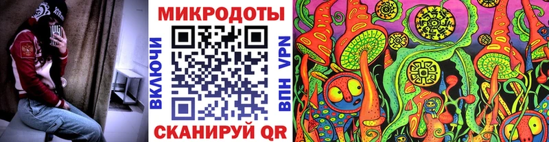 даркнет наркотические препараты  купить  цена  Приволжск  Псилоцибиновые грибы прущие грибы 